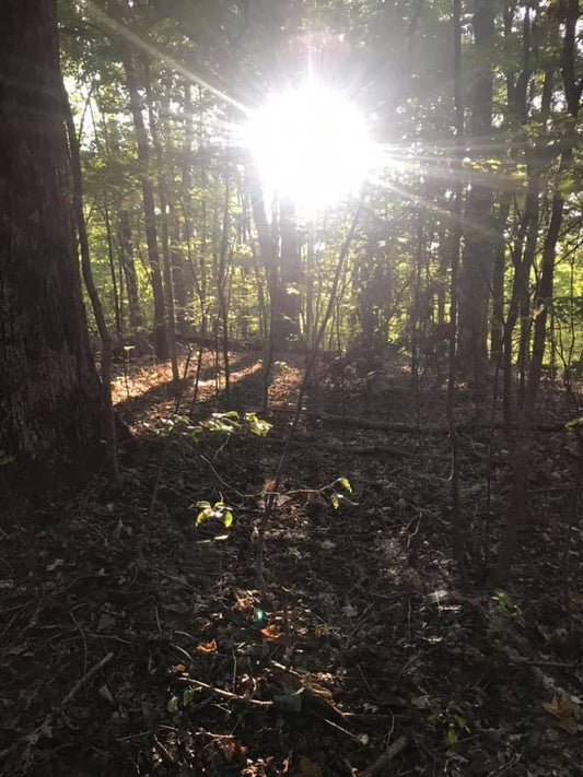 How to Stay Comfortable for Cool Morning Workouts - Ponya Bands